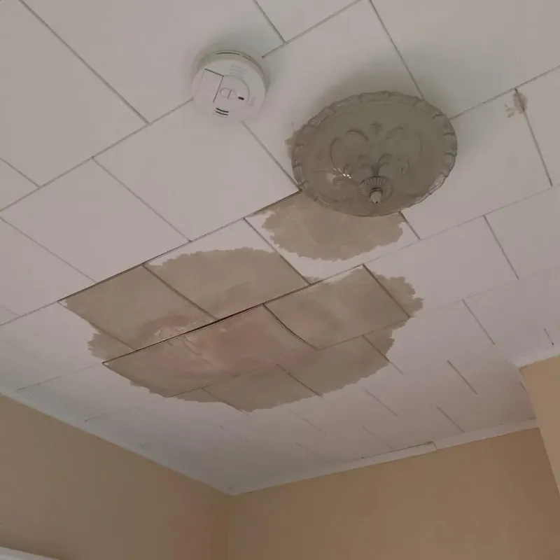 Ceiling Water Damage Repair in Sauk Rapids, MN