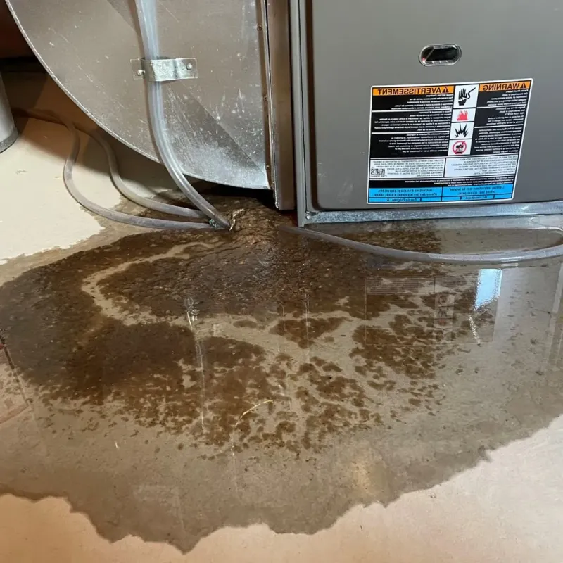 Pipe Burst and Leak Restoration in Sauk Rapids, MN